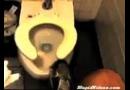 Co můžete objevit pod prkýnkem na veřejném záchodě?